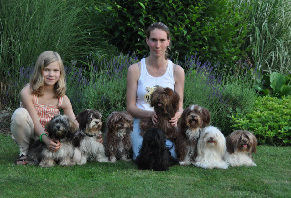Havanese Party (3) - click to see pictures
