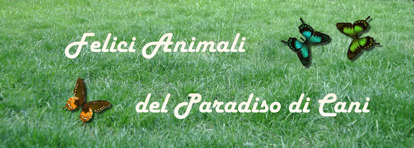 www.felici-animali.be